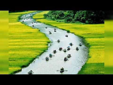 Thể hiện bởi Ngọc Tân