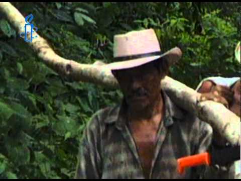 Mio fratello che guardi il mondo - Amnesty International