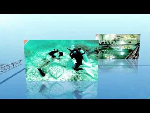 海洋電子機械工学科 東京海洋大学Scientist Profile