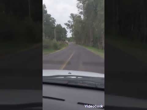 Lagos del Norte Rivera 2024