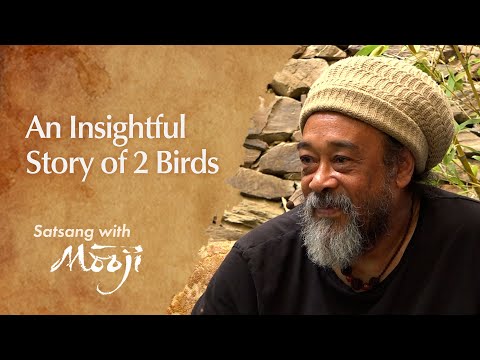 YouTube video about: What do you call 2 birds in love?
