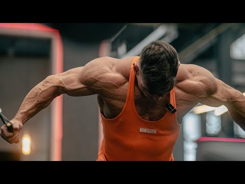 Live Q&A - Ich beantworte alle eure Fragen!