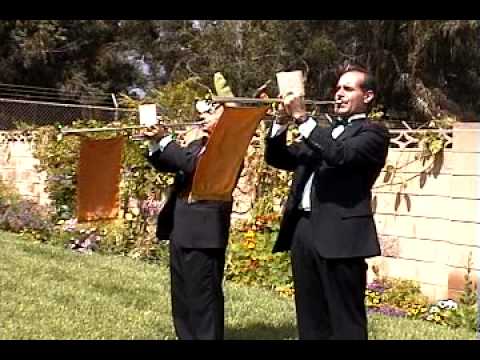 Promotional video thumbnail 2 for Chris Tedesco