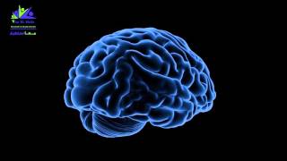 ما هو الإدمان