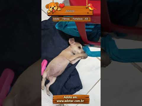 Vídeo de Juliana