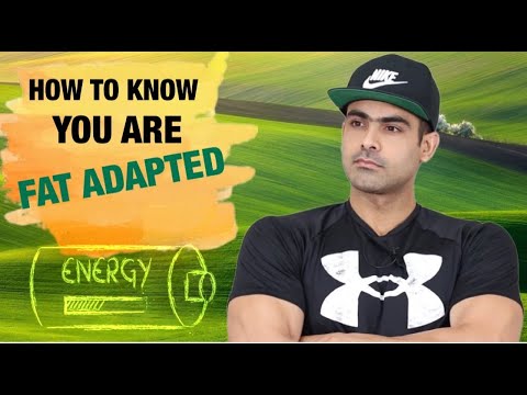 Are You Fat Adapted ? Dual Energy | Harry Mander