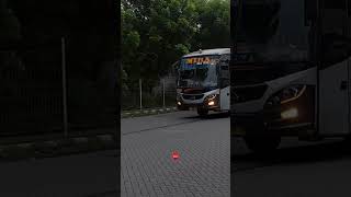 Download lagu BUS EKONOMI !!BUS MIRA SURABAYA-JOGJA#shorts #huntingbus #feedshorts #busmira #shortvideo mp3