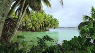 Sea of Bliss - Don Slepian