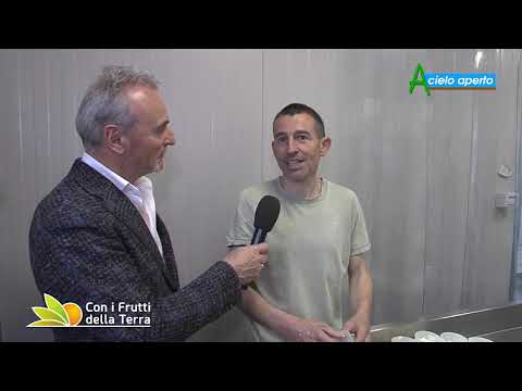 Puntata del 19/5/19 – 3° parte – I caprini dal latte al formaggio