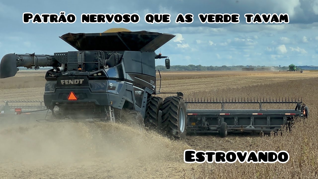Ep 377  Que estrago que faz com 8 colhedeiras no pé do eito ! Patrão ponho na tábua do meio !