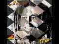 Guerilla Finga - Ganja Gun 