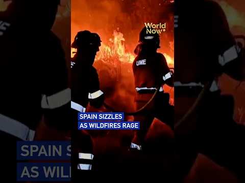 Authorities in Spain issue heat warnings as wildfires rage#worldnow