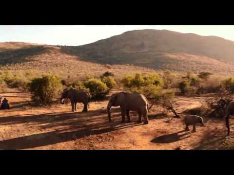 Blended 2014 Best Bits