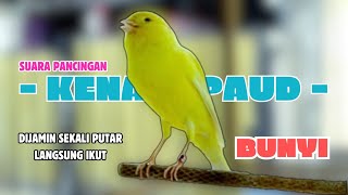 Download lagu Kenari PAUD NGERIWIK !!! Suara PANCINGAN Kenari PAUD Belajar BUNYI Ngeriwik | MASTERAN Kenari PAUD mp3