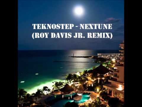 Teknostep - Nextune (Roy Davis Jr  Remix)