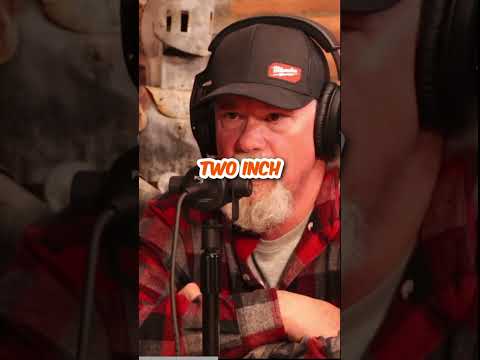 Silverback Gorilla vs Lion. Could a big alpha male Silverback take out a lion? #podcast #animals