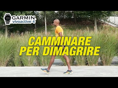 Walking to lose weight quickly