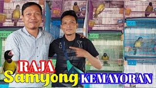 Download lagu THE LEGEND OF SAMYONG ! FUL SAMYONG TROTOL, NOPENG & TIPS PERAWATAN SAMYONG BAGI PEMULA ! mp3 Download lagu THE LEGEND OF SAMYONG ! FUL SAMYONG TROTOL, NOPENG & TIPS PERAWATAN SAMYONG BAGI PEMULA ! mp3