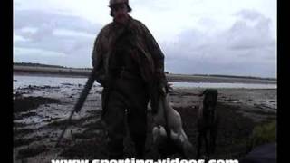 preview picture of video 'Wildfowling in scotland, duck goose shooting'