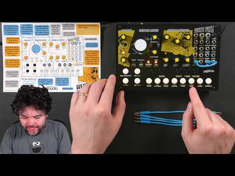 West Pest First Impression