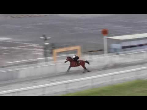 Parachute Man - Maiden Gallop