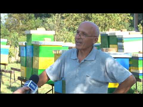 Dobar dan, domaćine: Branislav Vukadinović - pčelar