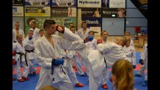 preview picture of video 'Greve Karate Gasshuku 2013'