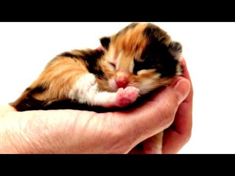 Mincha Moment 7 - Life is Meaningful