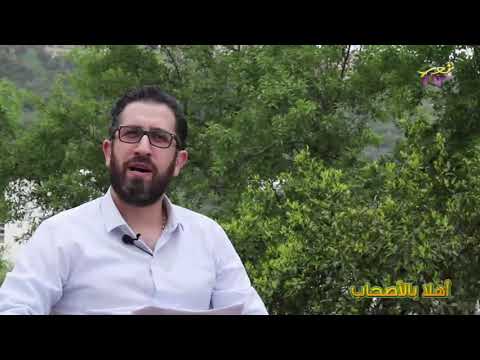 بسينة او كلب: كونغورو