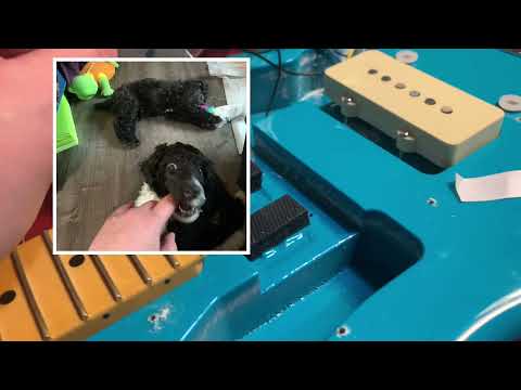 American Professional II Jazzmaster - Miami Blue