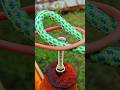You’ve NEVER Seen a Rope Trick Like This! 😱🔥 #RopeKnot #RopeTrick