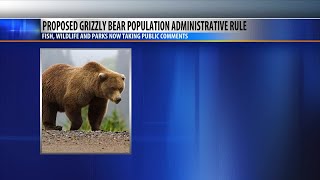 Montana considering new management rule for grizzly bears in northern Montana