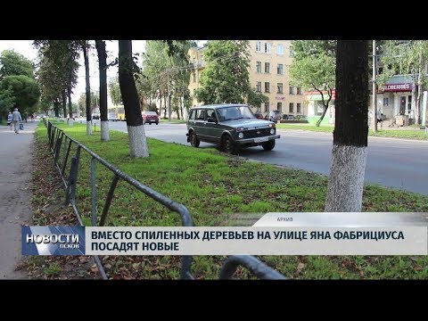 27.09.2019 / Вместо спиленных деревьев на улице Яна Фабрициуса посадят новые