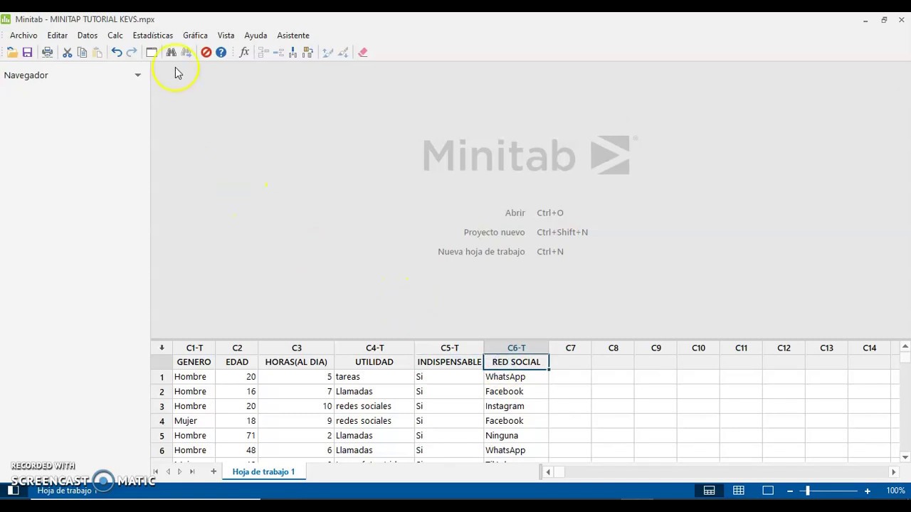 estadísticos descriptivos MINITAB