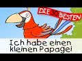 ️ Ich Habe Einen Kleinen Papagei Partylieder Zum Mitsingen Kinderlieder
