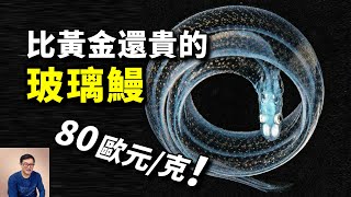 [問卦] 2023了鰻魚還無法人工育苗嗎