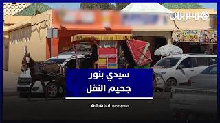 صوت سيدي بنور.. صرخة مواطنين ضاقت بهم السبل وسط أزمة نقل خانقة thumbnail