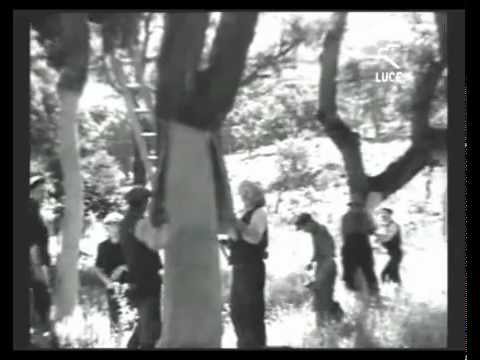 Tempio Pausania è la capitale del sughero 16/09/1936