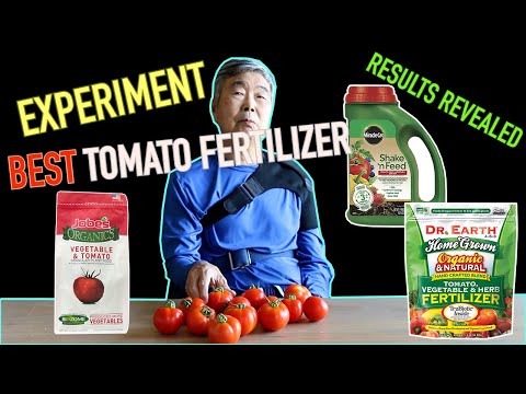 , title : 'Best Tomato Fertilizer Experiment RESULTS Revealed | Dr. Earth | Miracle Gro | Jobes'