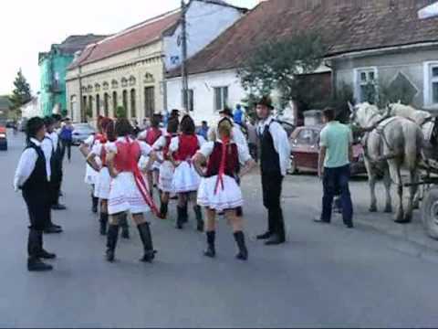 Balul strugurilor Tileagd [2011]