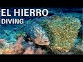 El Hierro | Scuba Diving | Marine Park, El Hierro, Extra Divers - El Hierro, Spanien, Kanaren (Kanarische Inseln)