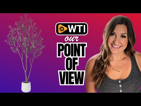Artificial Olive Tree - WTI product video review
