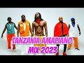 TANZANIA AMAPIANO MIX 2023 : DJ LYTA FT.DIAMOND PLATNUMZ,MARIOO,HARMONIZE,ALIKIBA,LAVALAVA