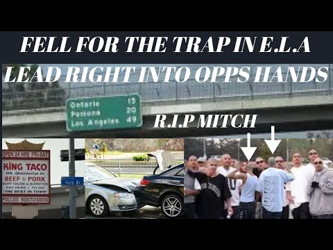 CHASE TURNED TO TRAP. OPPS HAD ME DEAD BANG@luckystevemmv5852