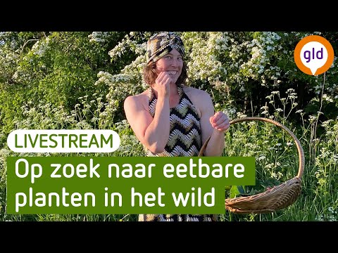 Kijk live mee met een eetbare planten-excursie | BuitenGewoon