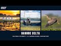 Explore Danube Delta Virtual Tour Birdwatching And Minorities Of Dobrogea