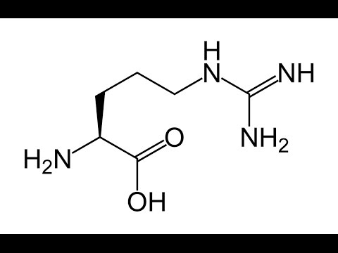 Todo Lo Que Necesitas Saber Sobre La L-Arginina : Beneficios, Contraindicaciones, Efectos…Etc