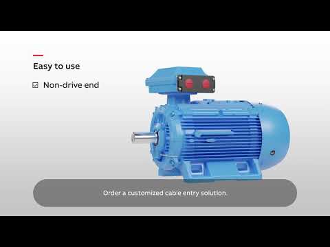 Three Phase Motor