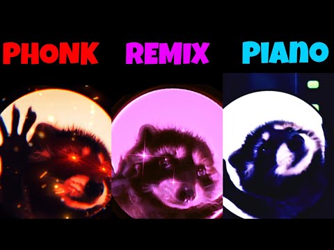 Dancing raccoon Raffaella Carrà - Pedro Phonk vs Remix vs Piano All Version