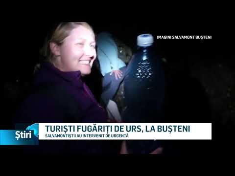 turisti fugariti de urs la busteni
